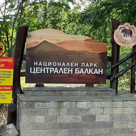 卡洛费尔Комплекс Омайник别墅 外观 照片